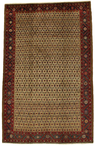 Songhor - Koliai Persialainen matto 254x160